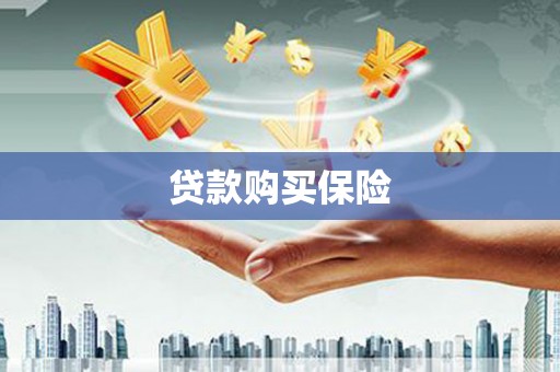 游仙贷款购买保险