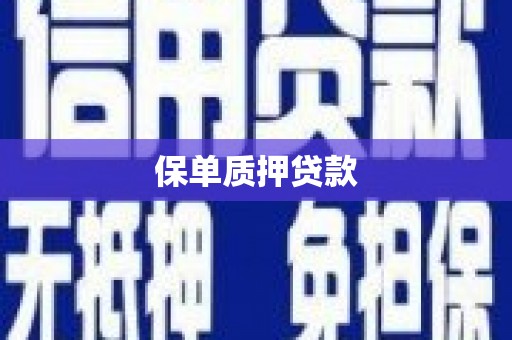 歙县保单质押贷款