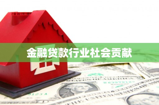 桃源金融贷款行业社会贡献