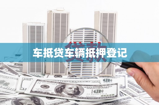 桃源车抵贷车辆抵押登记