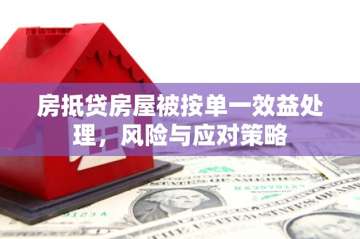 庆元房抵贷房屋被按单一效益处理，风险与应对策略