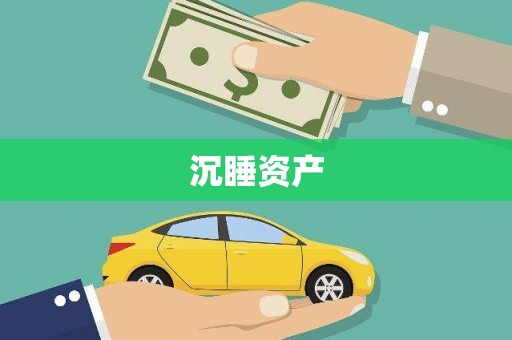 杭锦后旗沉睡资产
