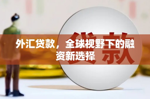 铜锣外汇贷款，全球视野下的融资新选择