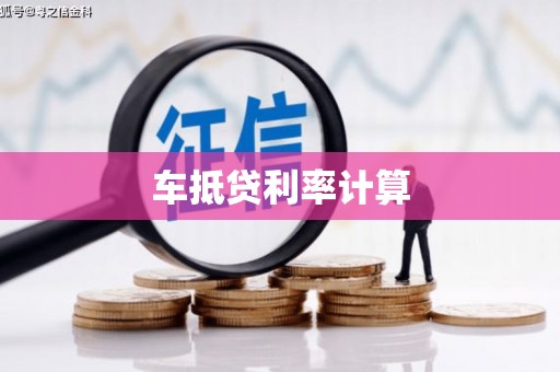 嵩县车抵贷利率计算