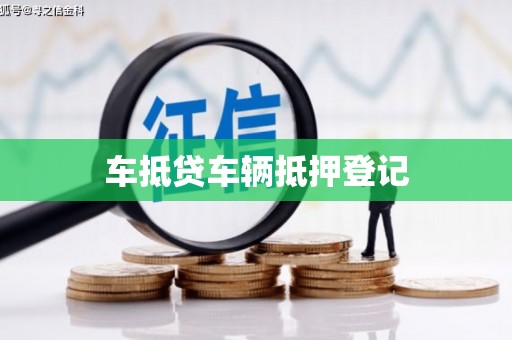 嵩县车抵贷车辆抵押登记