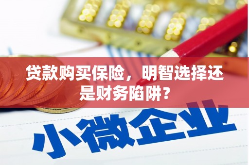 绥中贷款购买保险，明智选择还是财务陷阱？