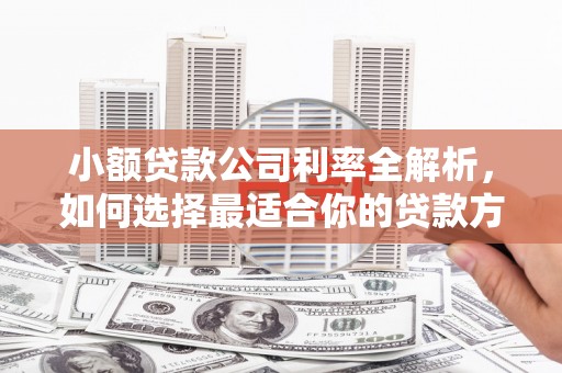 柳河小额贷款公司利率全解析，如何选择最适合你的贷款方案？