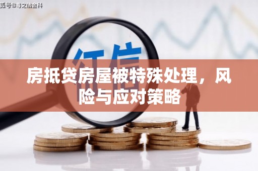 蛟河房抵贷房屋被特殊处理，风险与应对策略