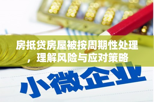 五家渠房抵贷房屋被按周期性处理，理解风险与应对策略