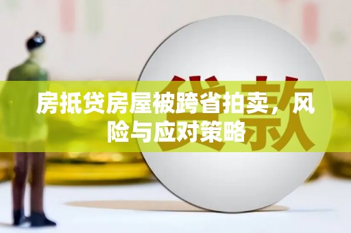 景德镇房抵贷房屋被跨省拍卖，风险与应对策略