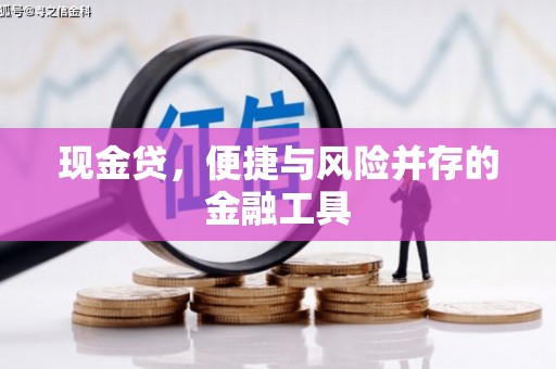 鹤庆现金贷，便捷与风险并存的金融工具