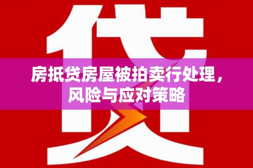 鹤庆房抵贷房屋被拍卖行处理，风险与应对策略