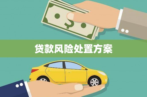 平顺贷款风险处置方案