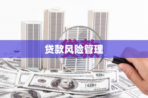城北贷款风险管理