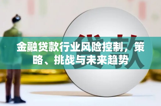 海西金融贷款行业风险控制，策略、挑战与未来趋势