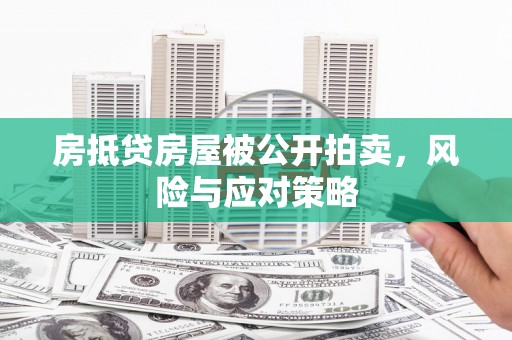 都兰房抵贷房屋被公开拍卖，风险与应对策略