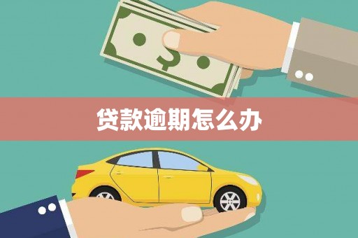 舒城贷款逾期怎么办