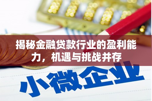 石屏揭秘金融贷款行业的盈利能力，机遇与挑战并存