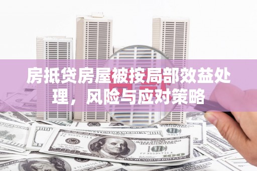 平阳房抵贷房屋被按局部效益处理，风险与应对策略