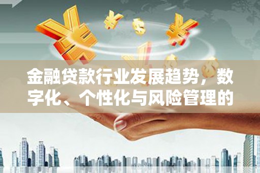 平阳金融贷款行业发展趋势，数字化、个性化与风险管理的未来
