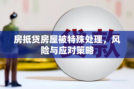 镇海房抵贷房屋被特殊处理，风险与应对策略