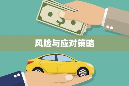 贡嘎风险与应对策略
