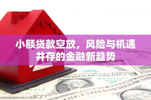 紫云小额贷款空放，风险与机遇并存的金融新趋势