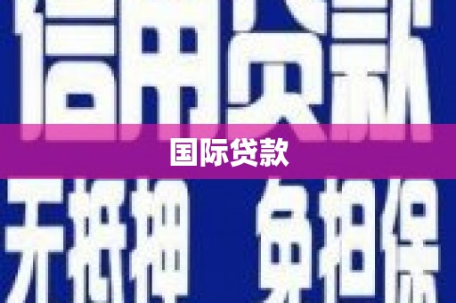 东西湖国际贷款