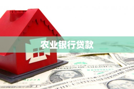 乐陵农业银行贷款