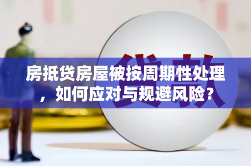 嘉鱼房抵贷房屋被按周期性处理，如何应对与规避风险？