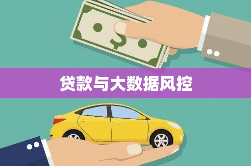 嘉鱼贷款与大数据风控