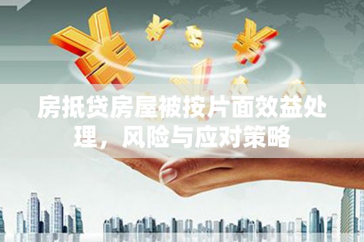 紫云房抵贷房屋被按片面效益处理，风险与应对策略