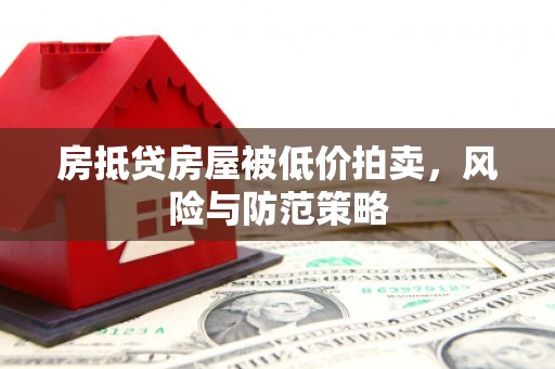 普陀房抵贷房屋被低价拍卖，风险与防范策略