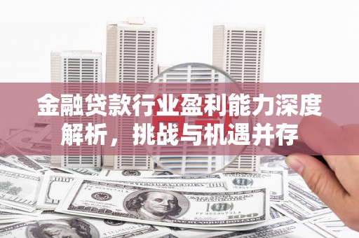 沣西金融贷款行业盈利能力深度解析，挑战与机遇并存