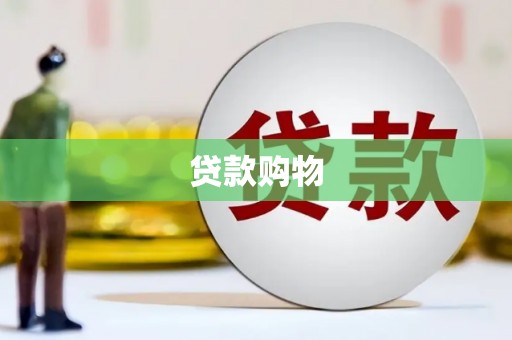 龙沙贷款购物