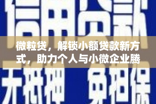 邳州微粒贷，解锁小额贷款新方式，助力个人与小微企业腾飞