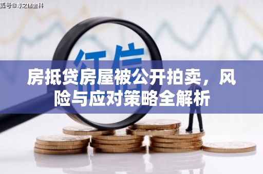 公安房抵贷房屋被公开拍卖，风险与应对策略全解析