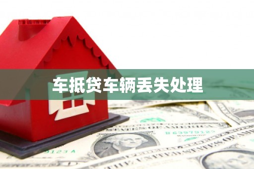 辽阳车抵贷车辆丢失处理