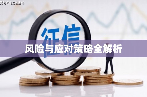 九台风险与应对策略全解析
