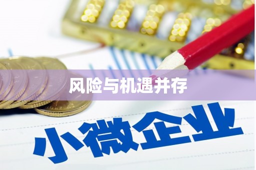 秦淮风险与机遇并存