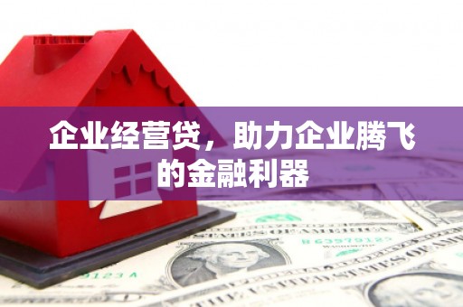 松阳企业经营贷，助力企业腾飞的金融利器