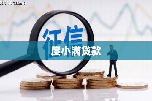 隆林度小满贷款