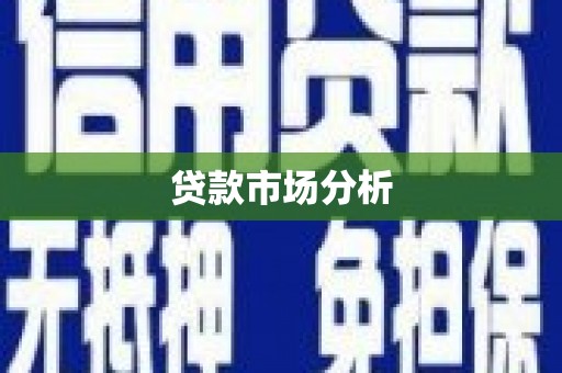梁子湖贷款市场分析