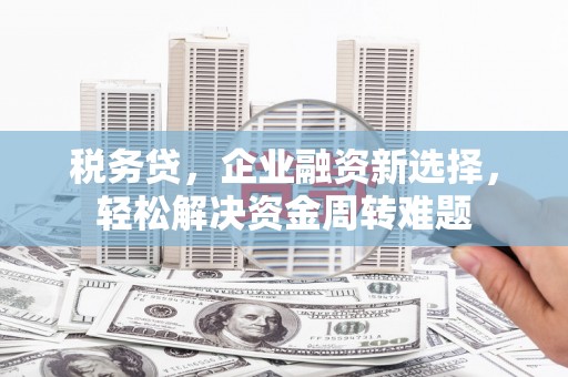 南丹税务贷，企业融资新选择，轻松解决资金周转难题