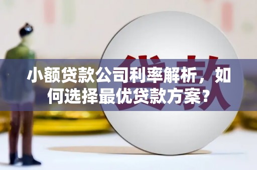 肃州小额贷款公司利率解析，如何选择最优贷款方案？