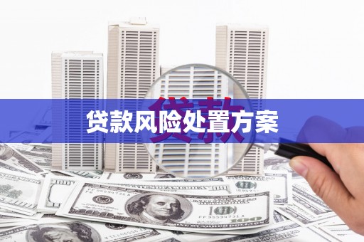 湟中贷款风险处置方案