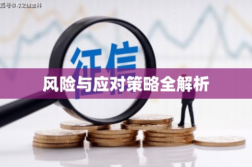 东至风险与应对策略全解析