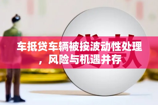 普陀车抵贷车辆被按波动性处理，风险与机遇并存