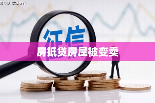 馆陶房抵贷房屋被变卖