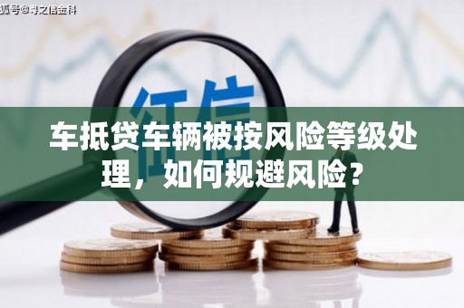 海港车抵贷车辆被按风险等级处理，如何规避风险？